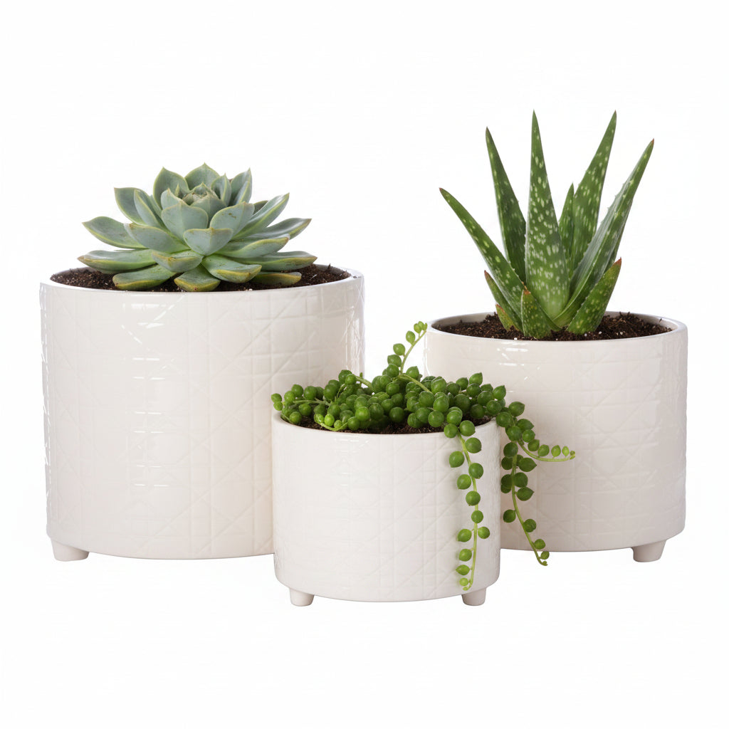 Ovie Diamond Ceramic Planters (Set of 3)