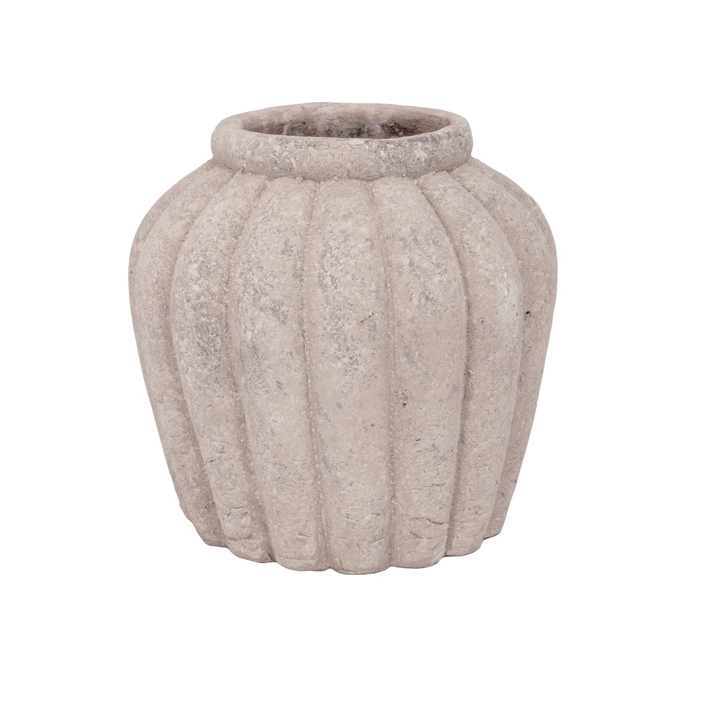 Petunia Terracotta Pot