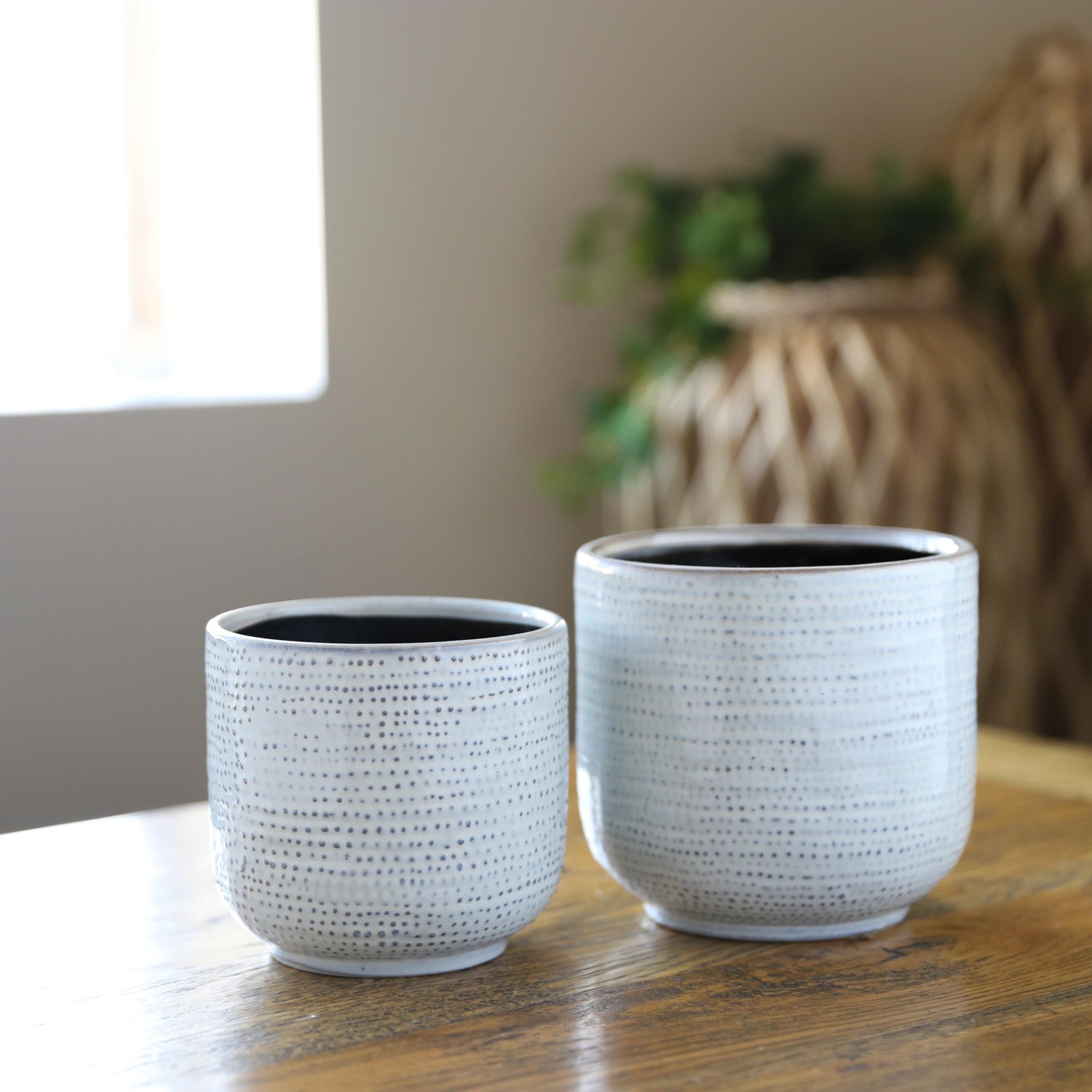 Ceramic Planters