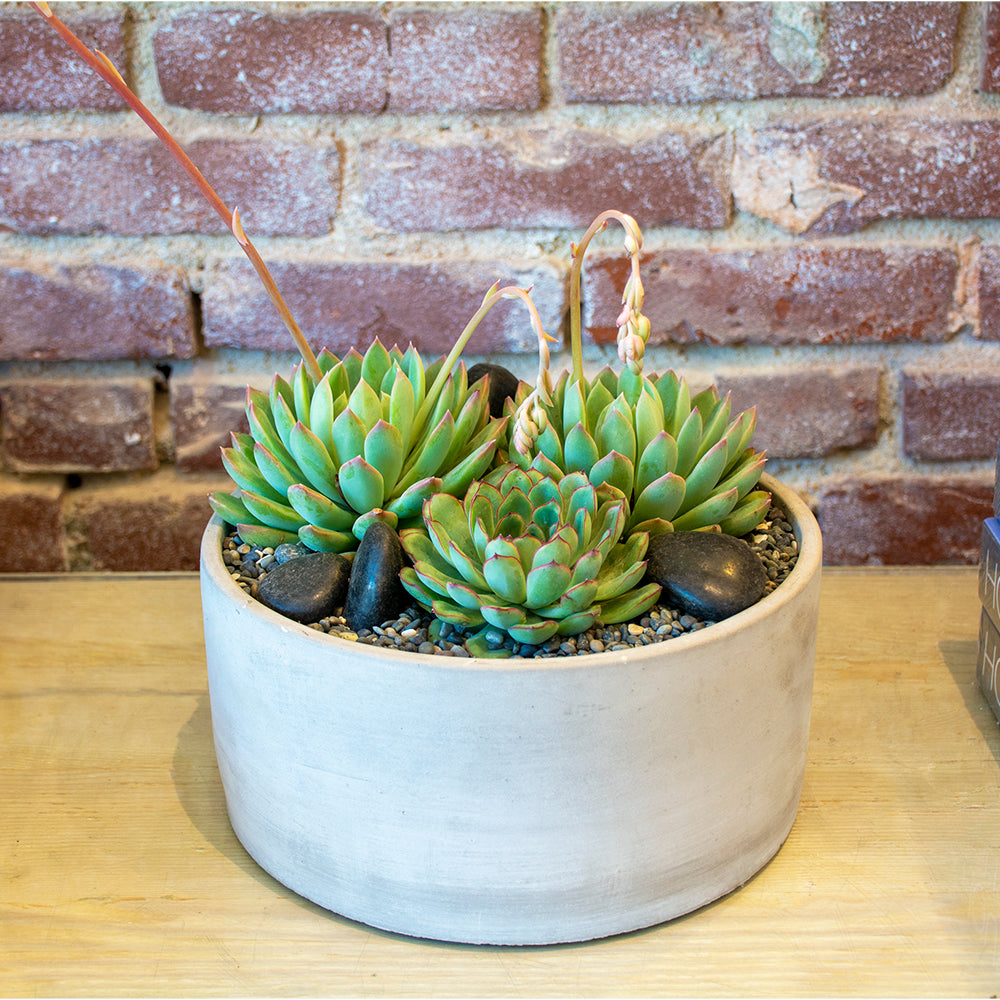 Round Planters