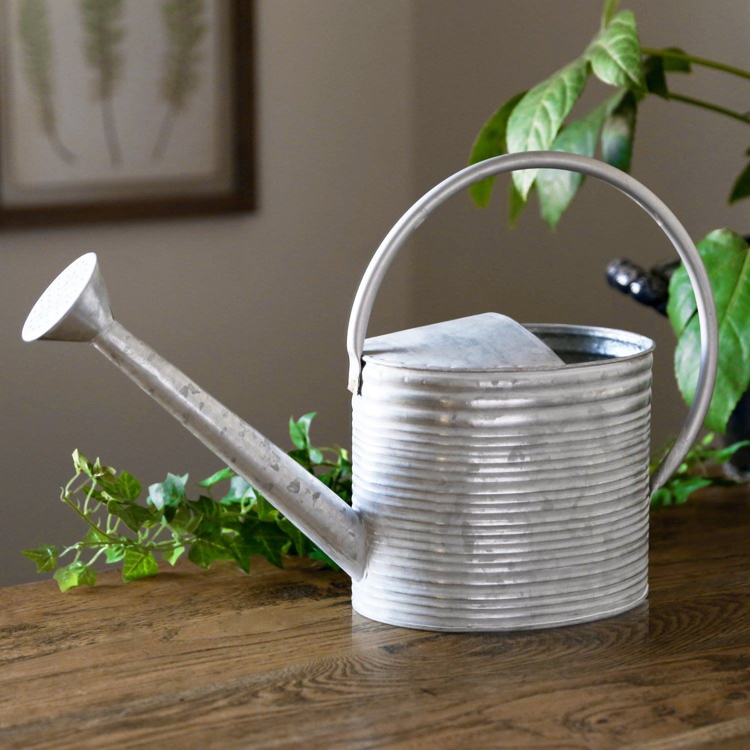 Garden Accessories