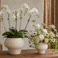 Eliza Bulbous Flared-Rim Ceramic Vase