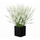 Aeris Glass Cube Vase