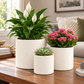 Olenna Textured Ceramic Pot Set (Set of 3)