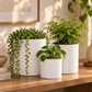 Olenna Textured Ceramic Pot Set (Set of 3)