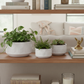 Michelle Geometric Ceramic Pots (Set of 3)