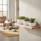 Michelle Geometric Ceramic Pots (Set of 3)