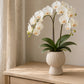 A potted white orchid with green leaves sits on a light wood console table in a softly lit room with a window, curtain, and textured wall.