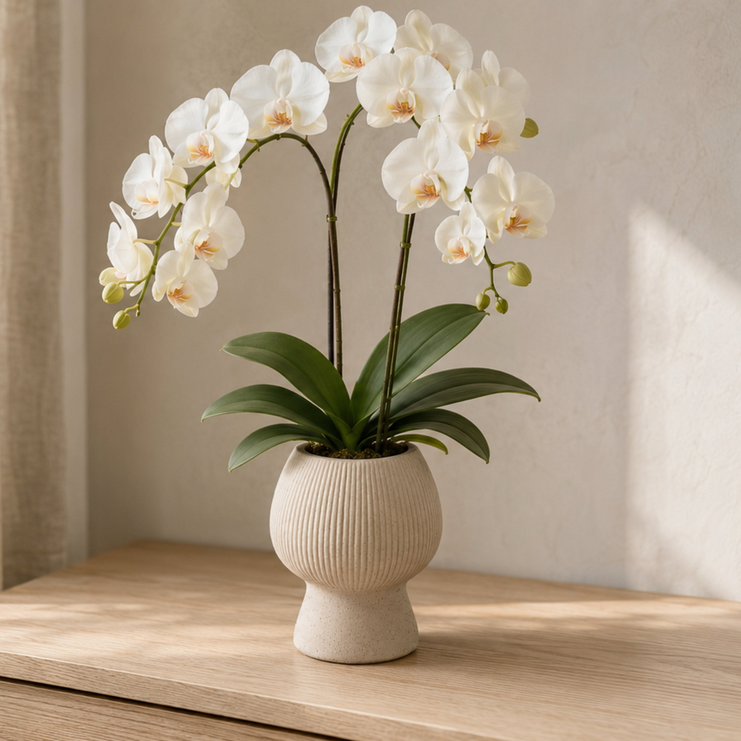 Zoryana Sculpted Stoneware Pot with Pedestal Base