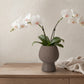 Zoryana Sculpted Stoneware Pot with Pedestal Base