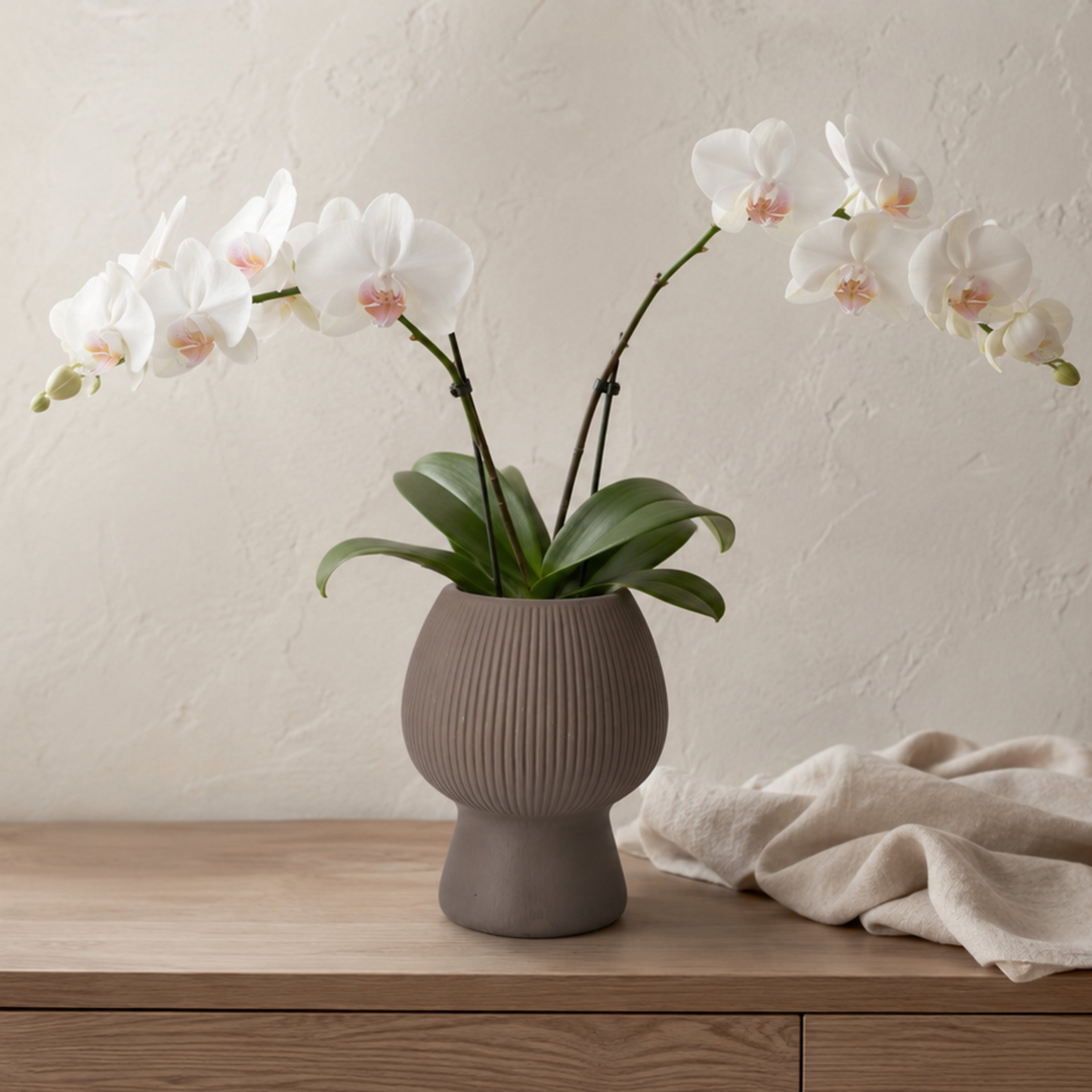 Zoryana Sculpted Stoneware Pot with Pedestal Base