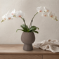 Zoryana Sculpted Stoneware Pot with Pedestal Base