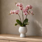 Zoryana Sculpted Stoneware Pot with Pedestal Base