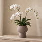 Zoryana Sculpted Stoneware Pot with Pedestal Base