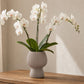 Zoryana Sculpted Stoneware Pot with Pedestal Base