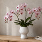 A pink Phalaenopsis orchid arrangement in a ribbed white ceramic vase, displayed on a light wood console table against a textured beige wall.