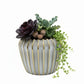 Jaleh Ribbed Ceramic Pot