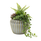 Jaleh Ribbed Ceramic Pot