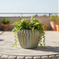Jaleh Ribbed Ceramic Pot