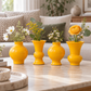 Novara Bellied Vase Quartet