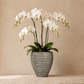 Zane Ribbed Cement Planter