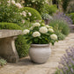 Della Rustic Jar-Style Cement Planter