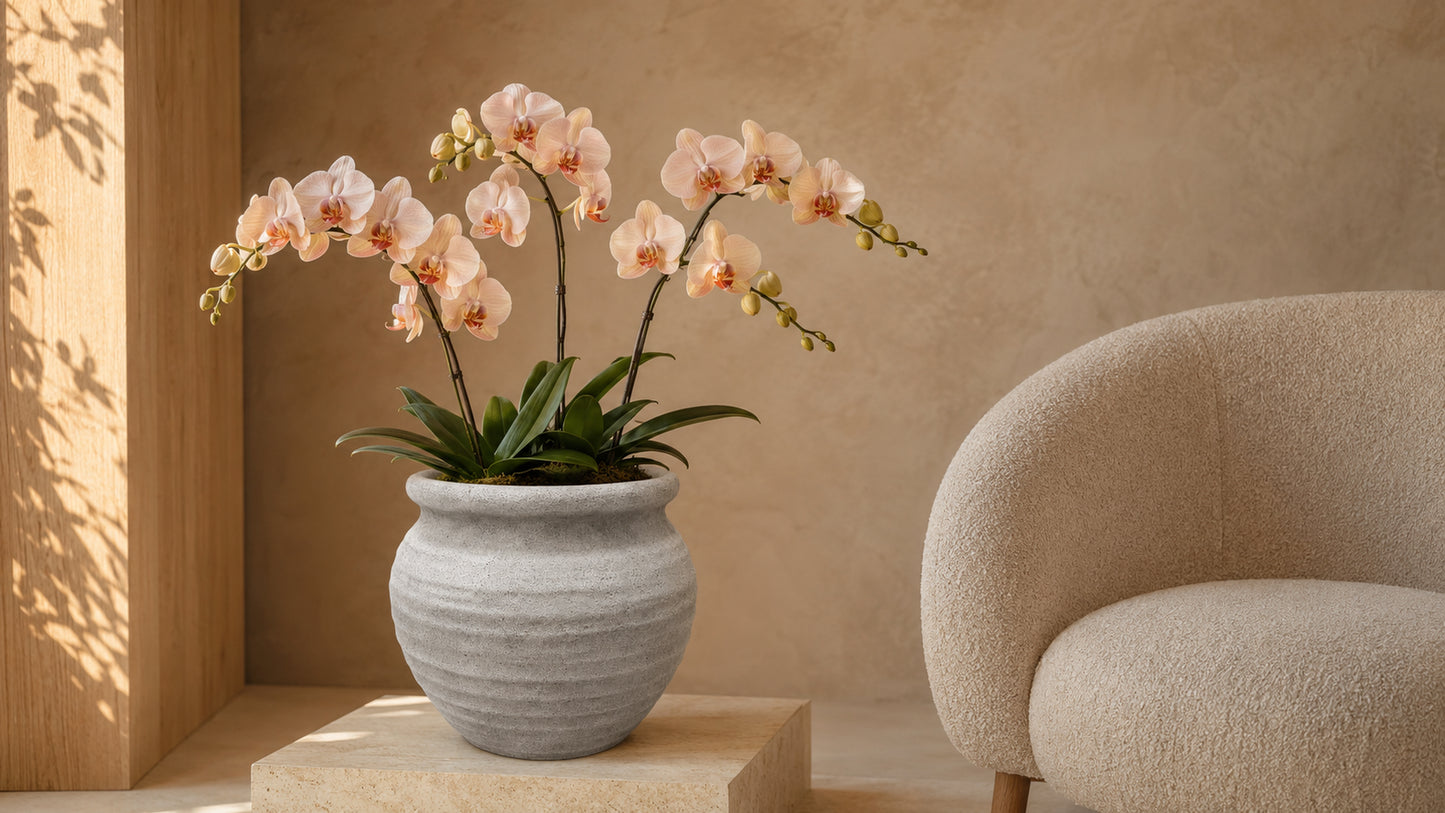 Kamilia Rustic Bell-Shaped Cement Planter
