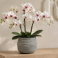 Larysa Ribbed Cement Planter