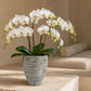 Olya Textured Barrel-Style Cement Planter