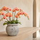 Kamilia Rustic Bell-Shaped Cement Planter