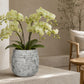 Larysa Ribbed Cement Planter