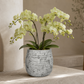 Larysa Ribbed Cement Planter