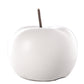 Nolyn Silver Ceramic Apple Decor