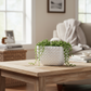 Elle Embossed Ceramic Rectangular Vase