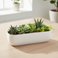 Laney Low Oval Ceramic Planter