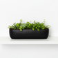 Laney Low Oval Ceramic Planter