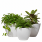 Nishka Ceramic Oval Pot with Irregular Lip (Set of 3)