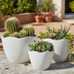 Nishka Ceramic Oval Pot with Irregular Lip (Set of 3)