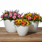 Nishka Ceramic Oval Pot with Irregular Lip (Set of 3)