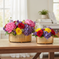Lavi Oval Ceramic Vase Set (Set of 2)