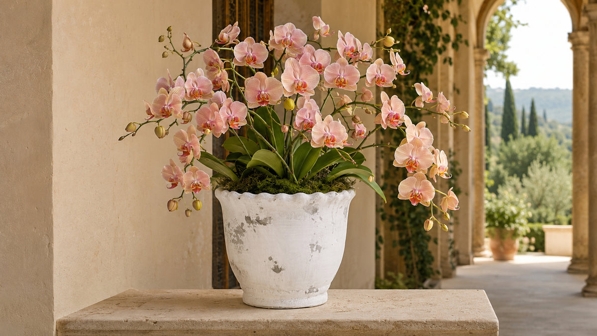 Eterna Handcrafted Round Planter