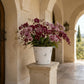A large white ceramic pot filled with blooming pink and burgundy orchids, placed on a stone ledge in a sunlit Mediterranean-style porch with arches and a garden view.