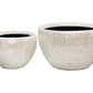 Yael Capri Shell Bowl Planter Set (Set of 2)