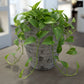 Olya Textured Barrel-Style Cement Planter