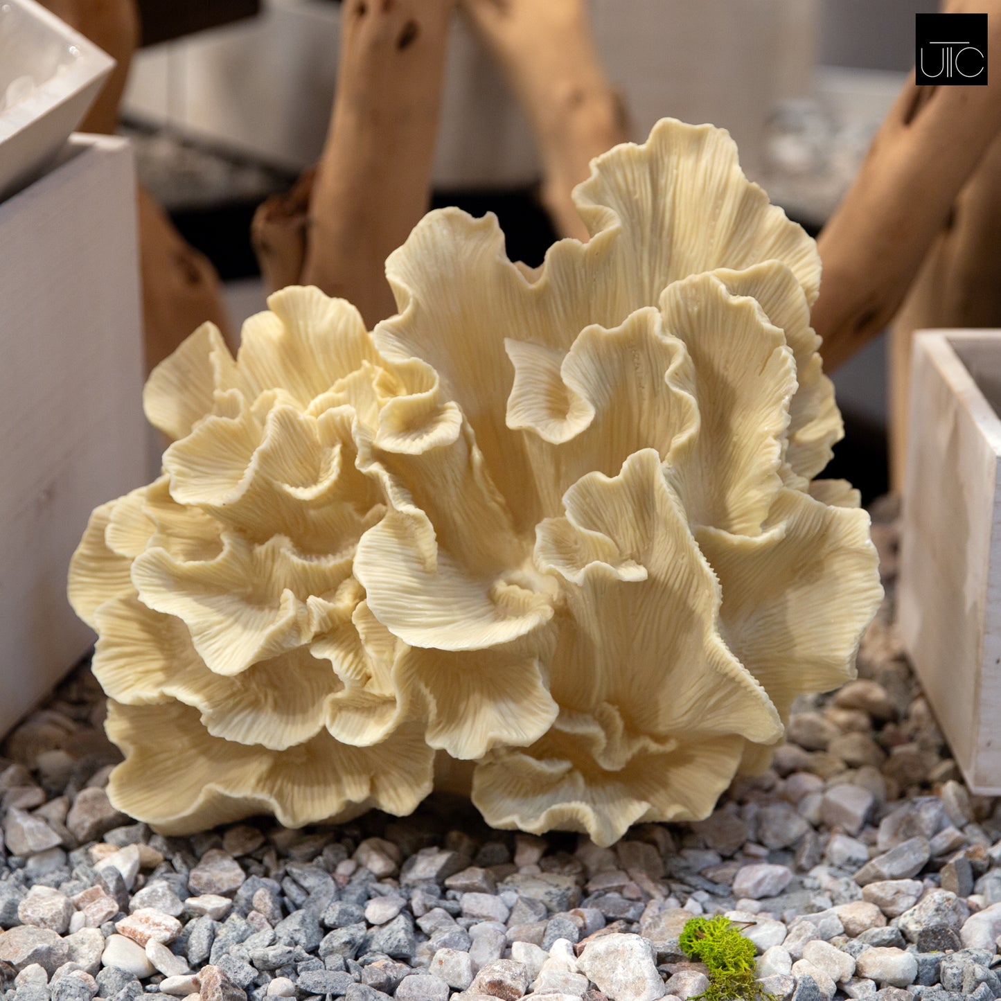Norelle Resin Coral Decor