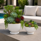 Two white ceramic planters filled with green succulents and small trailing plants, displayed on a concrete patio table outdoors next to a swimming pool and a white outdoor sofa.