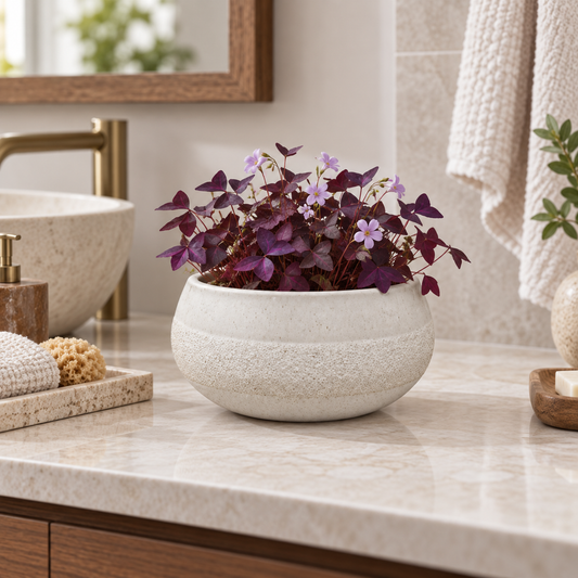 A round textured off-white ceramic planter filled with dark purple and light purple heart-shaped foliage, displayed on a marble bathroom counter.