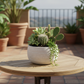 A small potted succulent and cactus arrangement in a round textured white planter sits on a round wooden outdoor table on a tiled terrace, with potted plants and a railing blurred in the background.