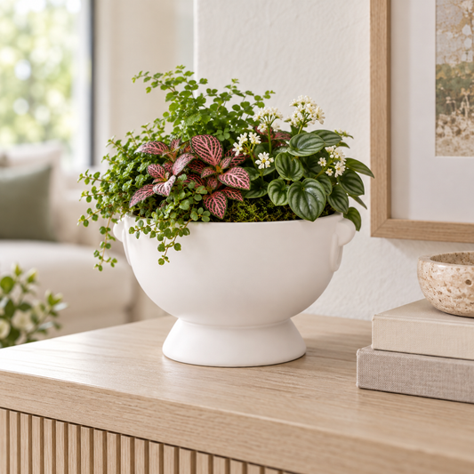 Winnie Lion Handle Ceramic Pot