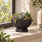 Winnie Lion Handle Ceramic Pot